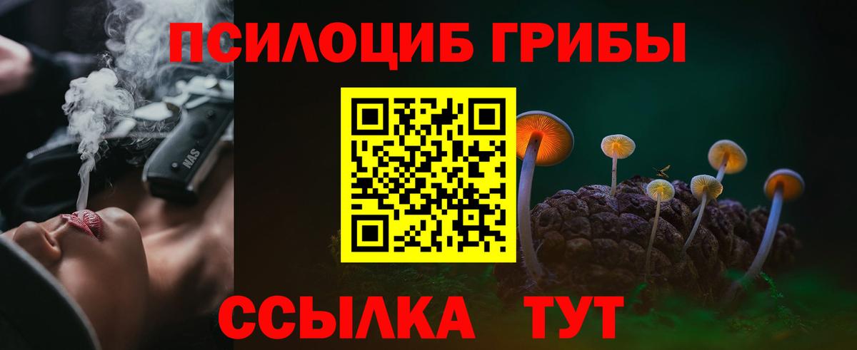 Псилоцибиновые грибы Psilocybine cubensis Орехово-Зуево
